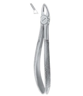 Tenaglia estrazione denti universale fine