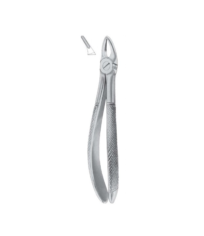 Tenaglia estrazione denti universale fine