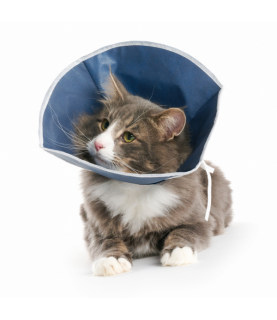 Collare Buster Soft cani e gatti