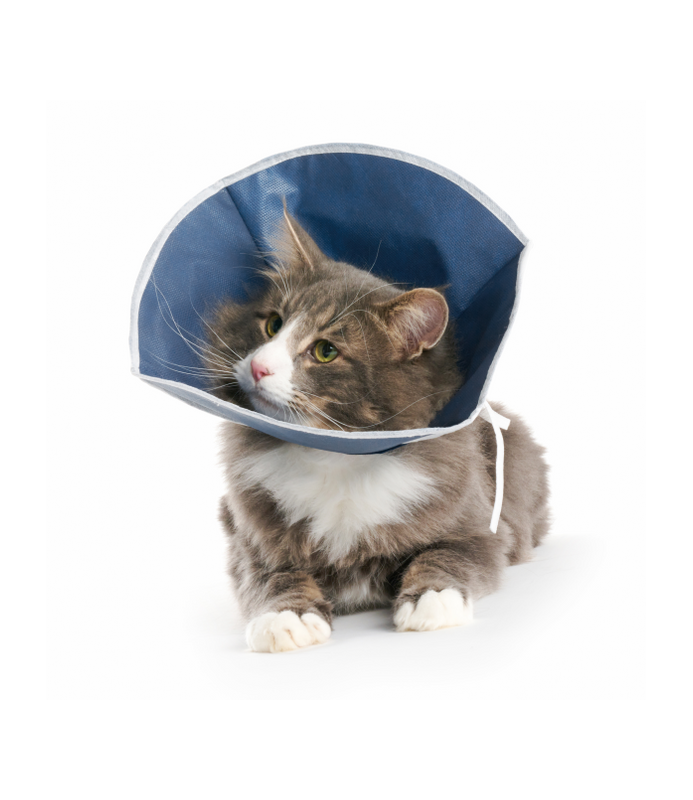 Collare Buster Soft cani e gatti