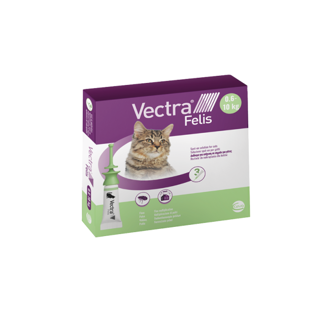 VECTRA FELIS