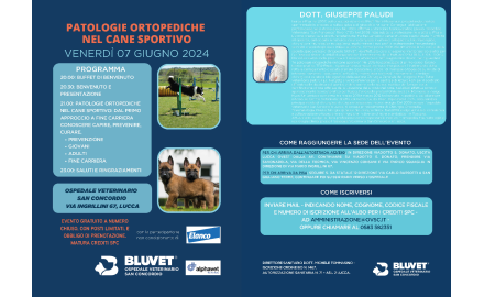 PATOLOGIE ORTOPEDICHE NEL CANE SPORTIVO