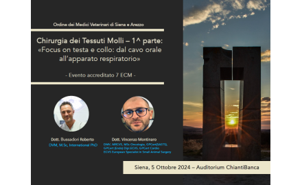 Chirurgia dei tessuti molli - 1 parte: "Focus on testa e collo: dal cavo orale all'apparato respiratorio"